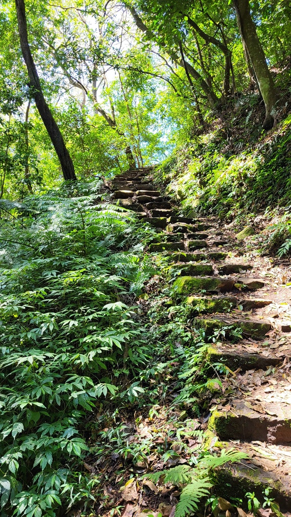 天母水管路+翠峰瀑布上紗帽山