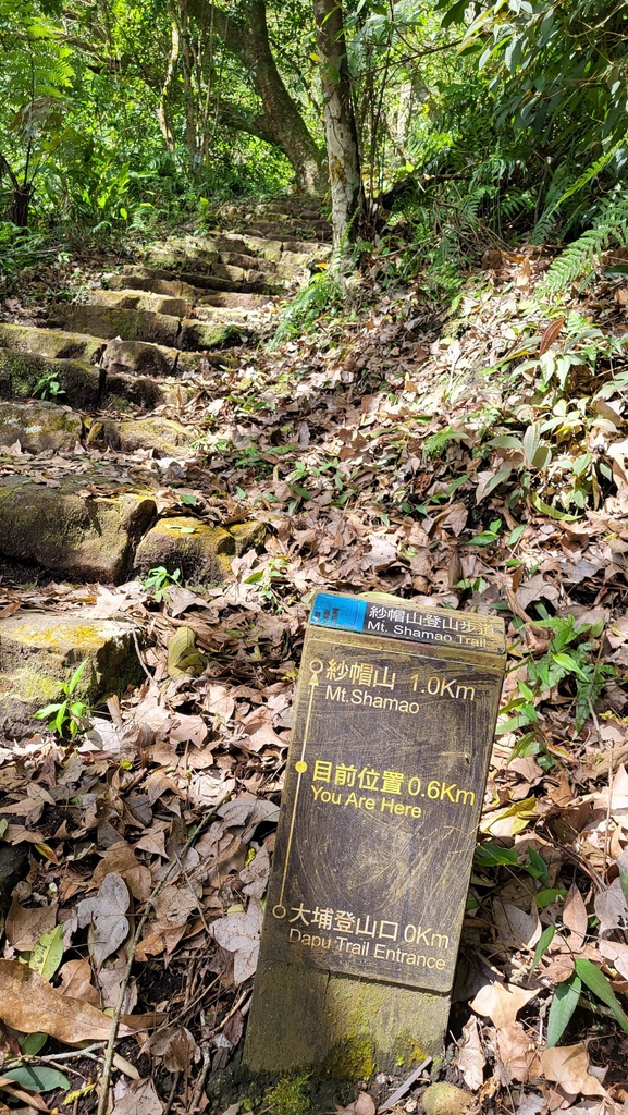 天母水管路+翠峰瀑布上紗帽山