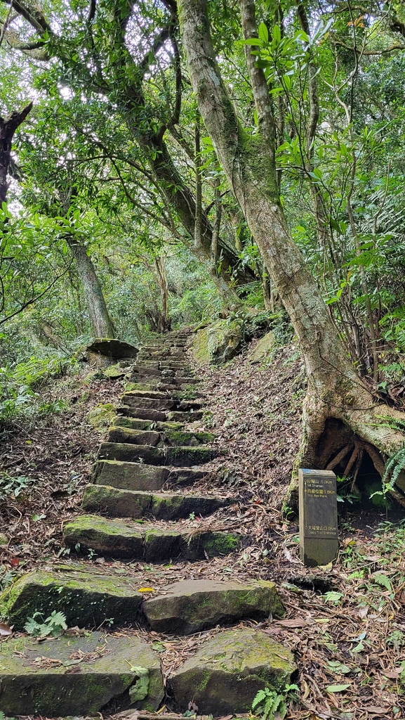 天母水管路+翠峰瀑布上紗帽山