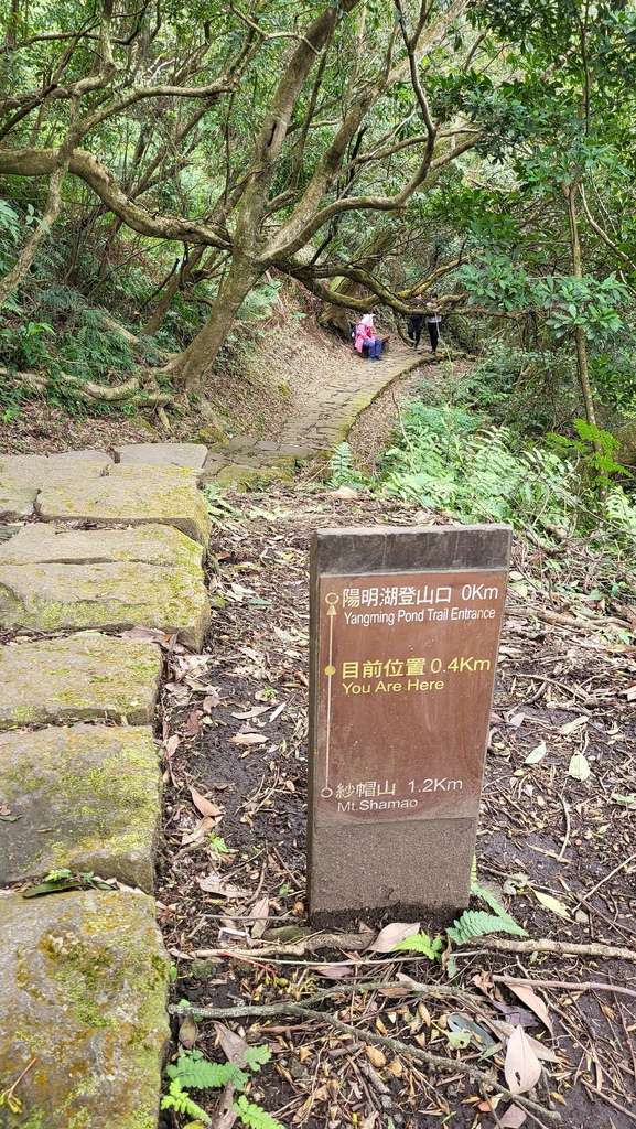 天母水管路+翠峰瀑布上紗帽山