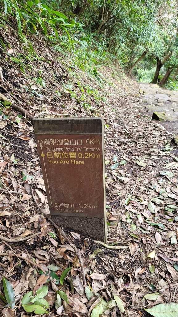 天母水管路+翠峰瀑布上紗帽山