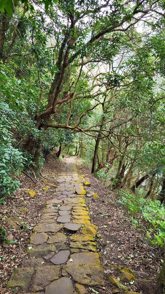 天母水管路+翠峰瀑布上紗帽山