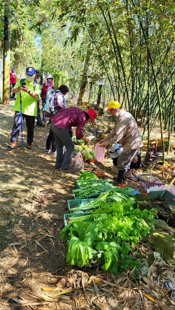 狗殷勤古道上平菁街賞櫻出坪頂古圳