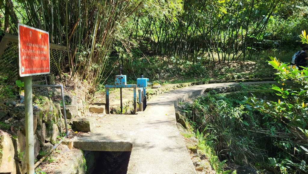 狗殷勤古道上平菁街賞櫻出坪頂古圳