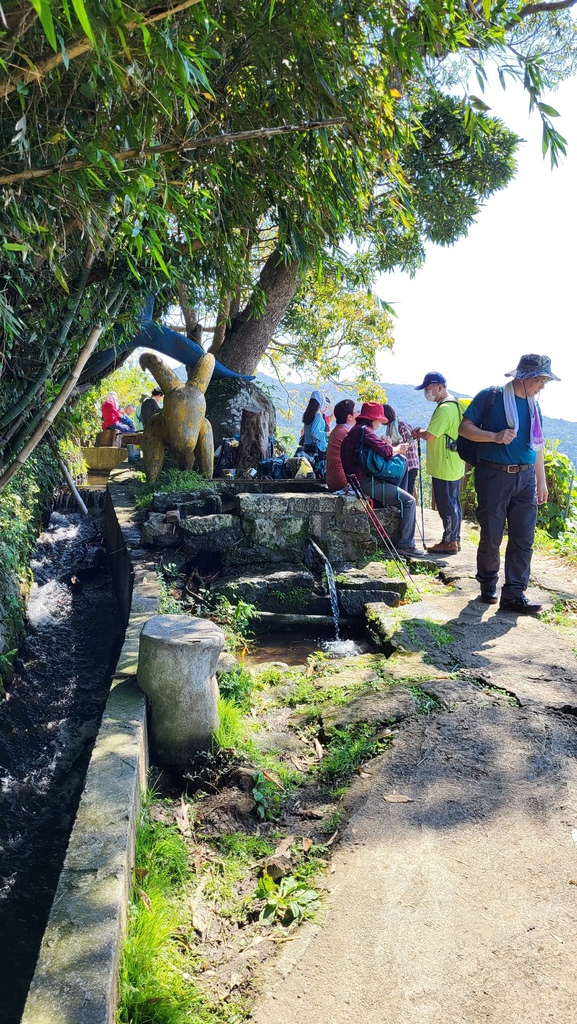 狗殷勤古道上平菁街賞櫻出坪頂古圳