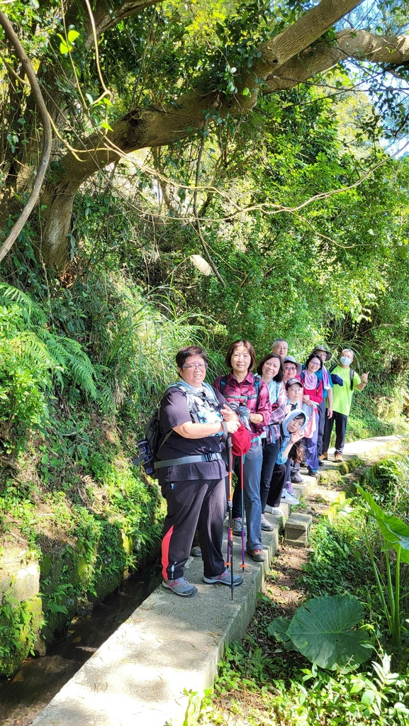 狗殷勤古道上平菁街賞櫻出坪頂古圳