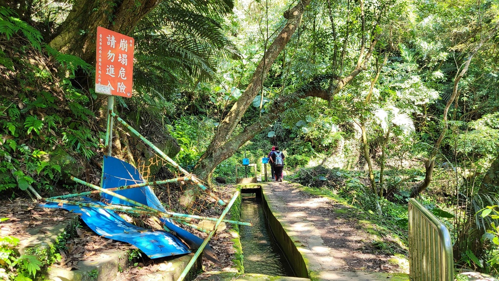 狗殷勤古道上平菁街賞櫻出坪頂古圳