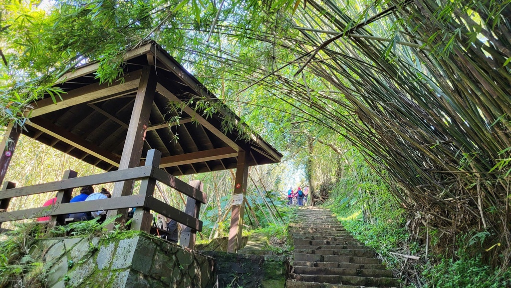 狗殷勤古道上平菁街賞櫻出坪頂古圳