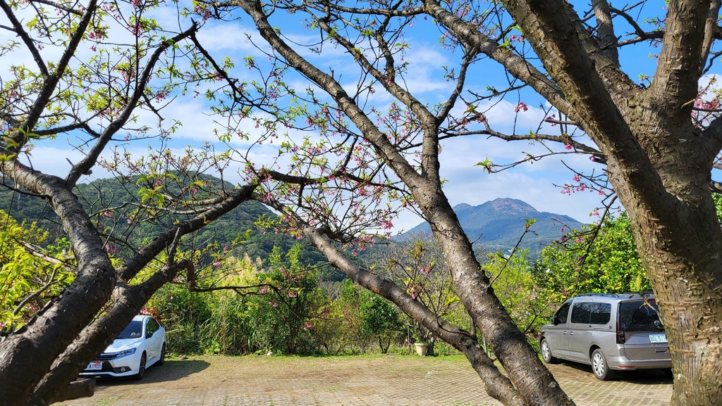 狗殷勤古道上平菁街賞櫻出坪頂古圳