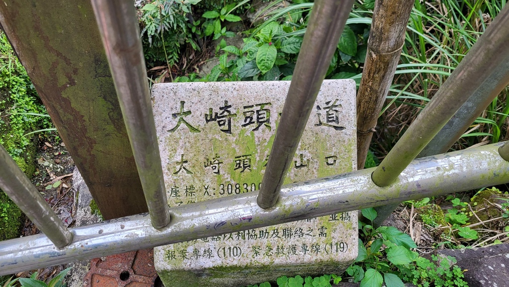 狗殷勤古道上平菁街賞櫻出坪頂古圳