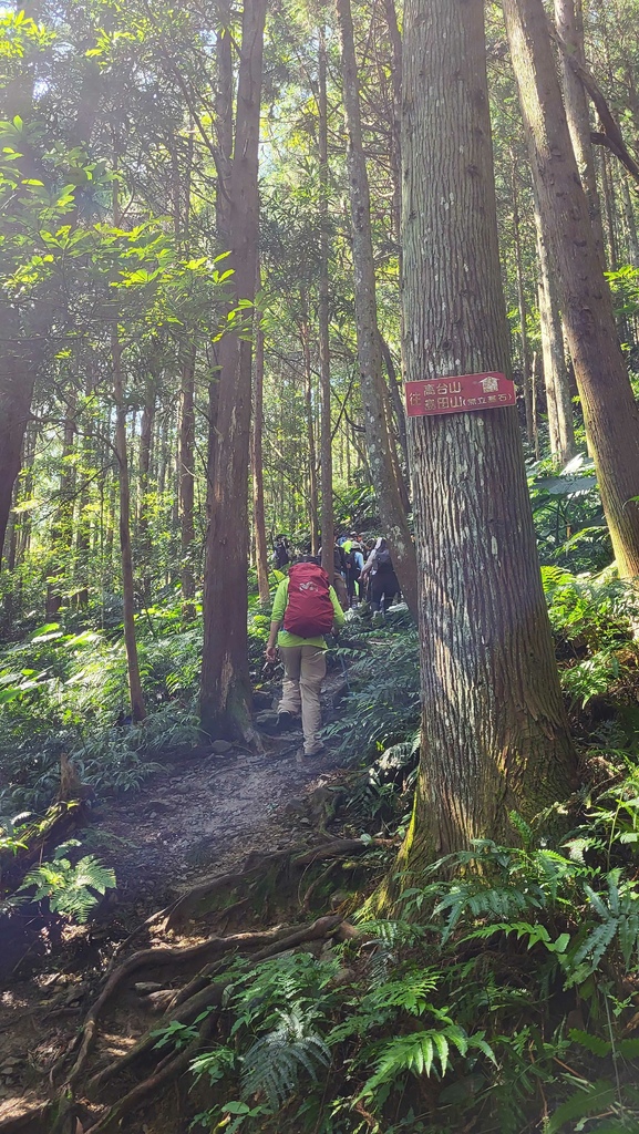 那羅部落高島縱走