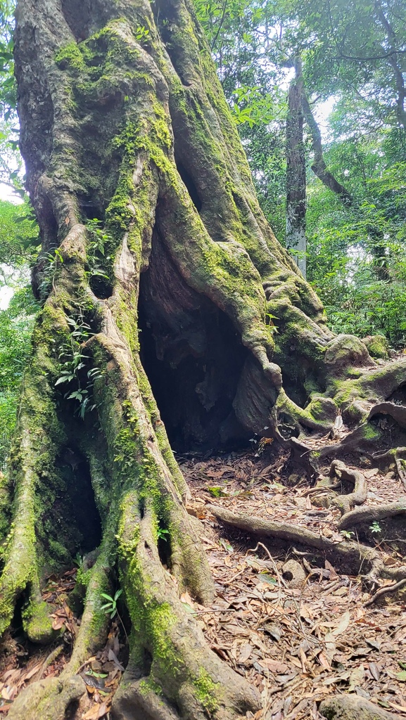 那羅部落高島縱走