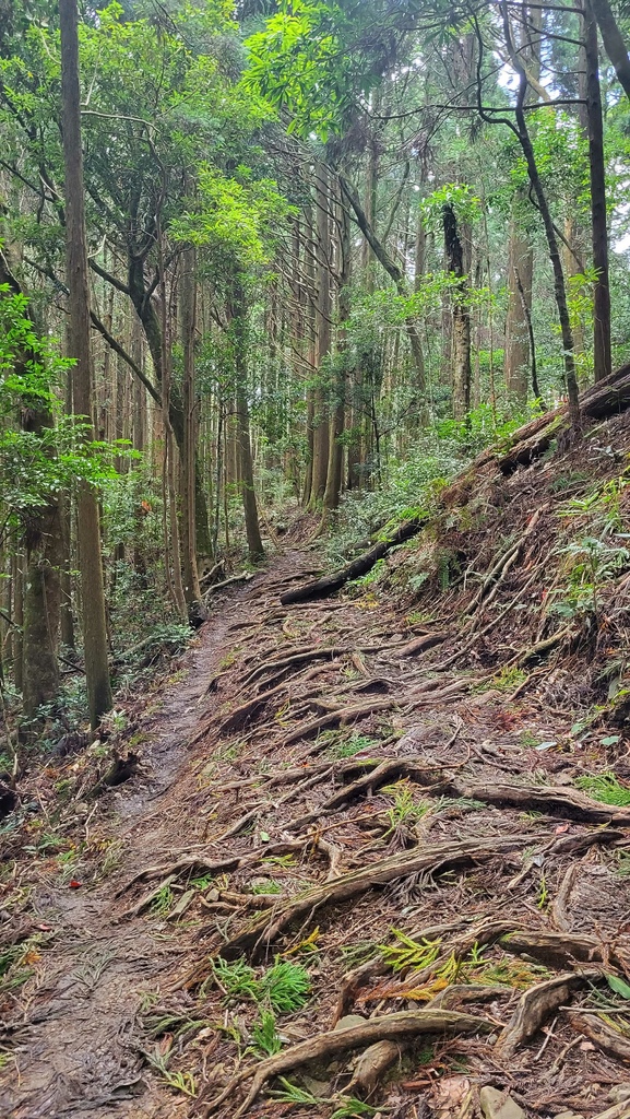 那羅部落高島縱走