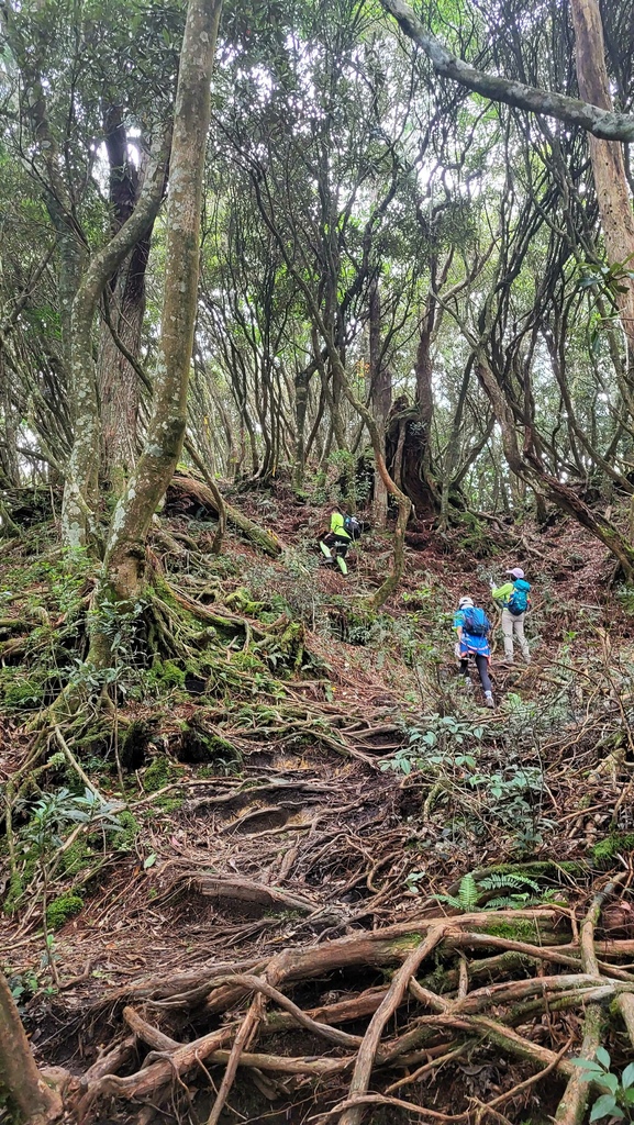 那羅部落高島縱走