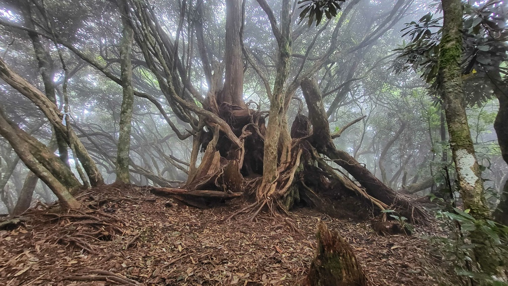 那羅部落高島縱走