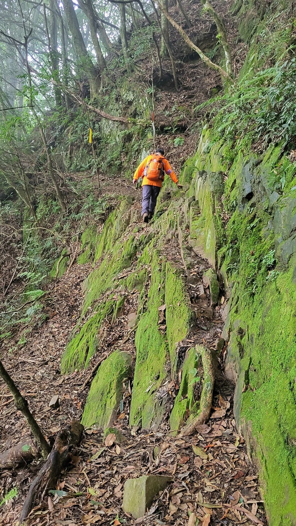 那羅部落高島縱走