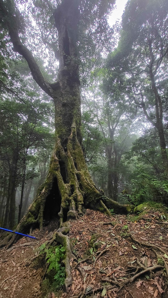 那羅部落高島縱走