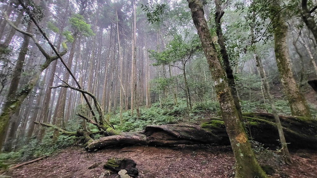 那羅部落高島縱走