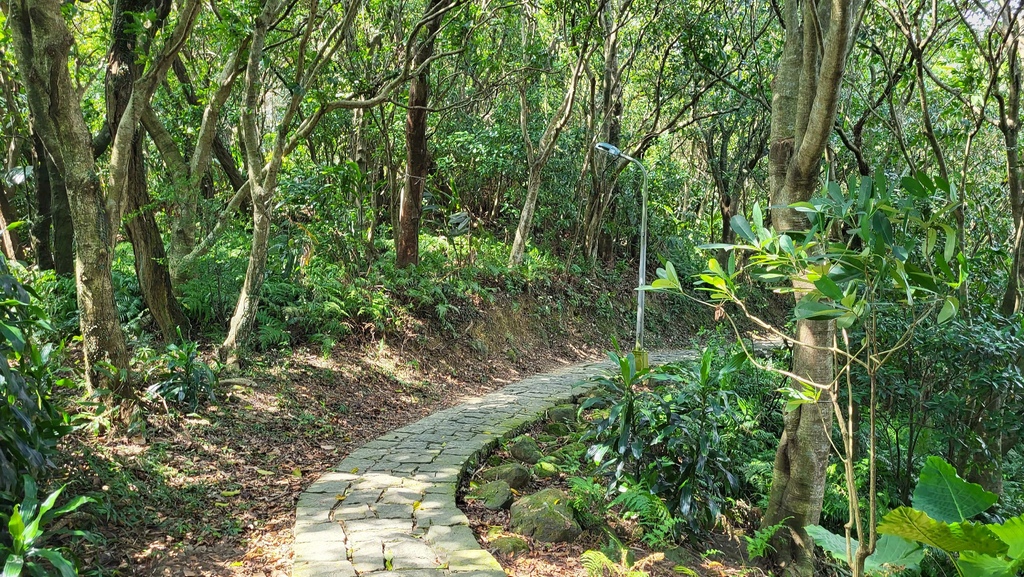 台北大縱走第七段