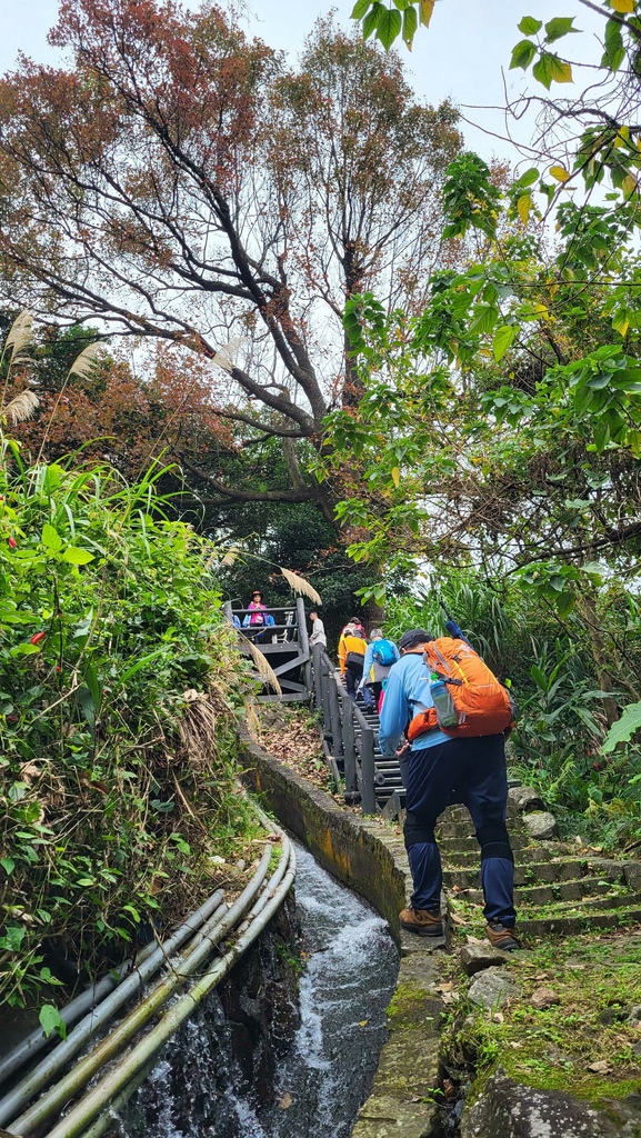 十八拐水圳步道賞櫻