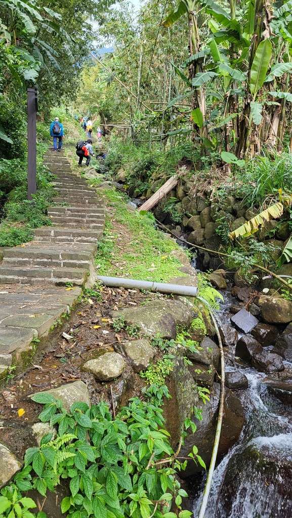 十八拐水圳步道賞櫻