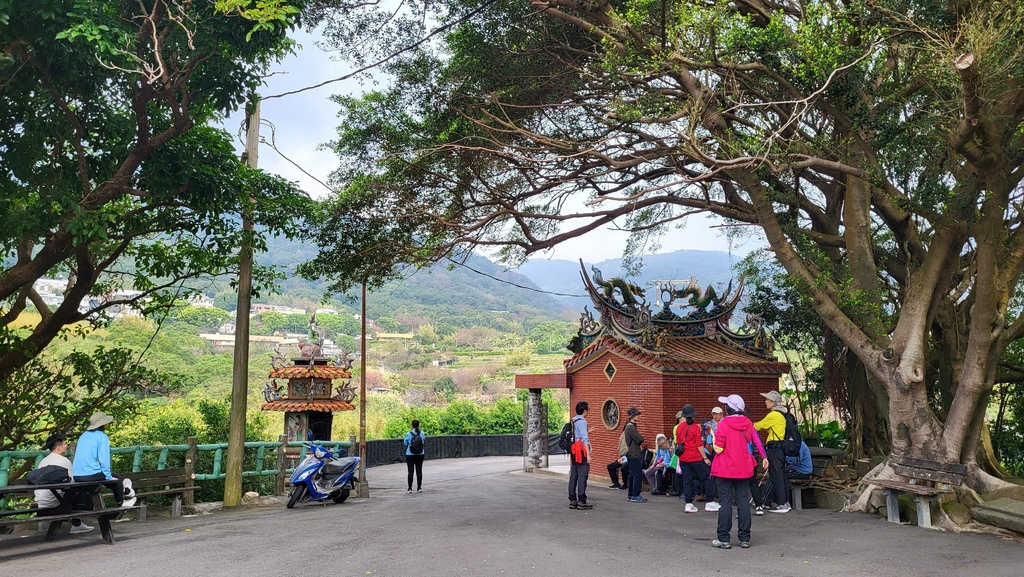 十八拐水圳步道賞櫻