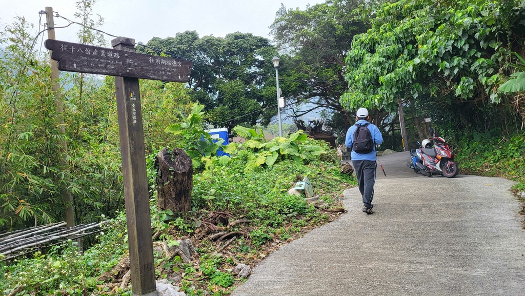 十八拐水圳步道賞櫻