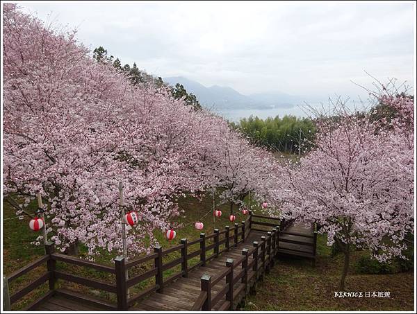 愛媛 鐵馬遊 伯方島開山公園櫻花花海 京都bernice部落格 痞客邦 愛媛 鐵馬遊 伯方島開山公園櫻花花海 京都bernice部落格 痞客邦