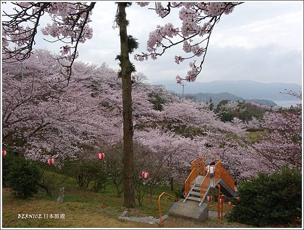 愛媛 鐵馬遊 伯方島開山公園櫻花花海 京都bernice部落格 痞客邦 愛媛 鐵馬遊 伯方島開山公園櫻花花海 京都bernice部落格 痞客邦