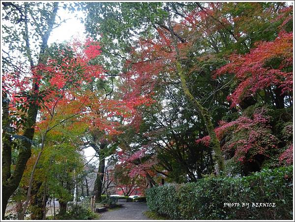 16追紅葉 神應寺 石清水八幡宮朱印 京都bernice部落格 痞客邦 16追紅葉 神應寺 石清水八幡宮朱印 京都bernice部落格 痞客邦