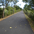 前往親水公園的自行車步道