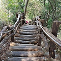 台中大坑登山步道 (6).jpg