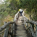 台中大坑登山步道 (13).jpg