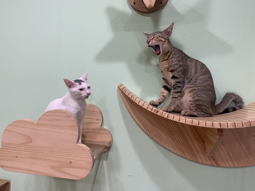 2022-09-10 11.50.08.jpg 2022-09-10 11.50.08.jpg