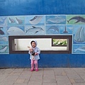 PA302510.jpg