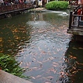 PA312833.jpg