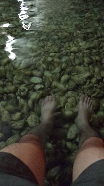 DSC00392.JPG DSC00392.JPG