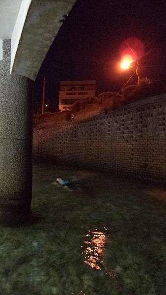 DSC00396.JPG DSC00396.JPG