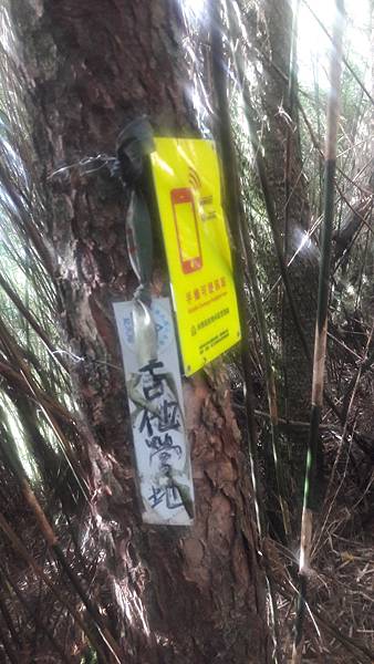 20201219_082642.jpg 20201219_082642.jpg