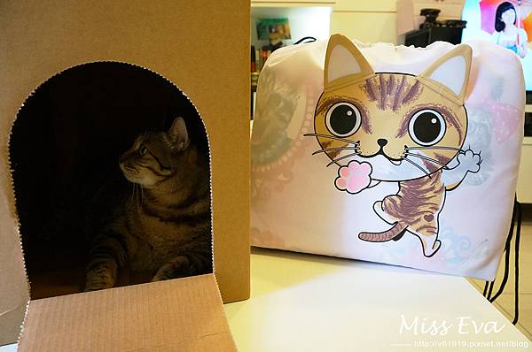 DSC09470.jpg DSC09470.jpg