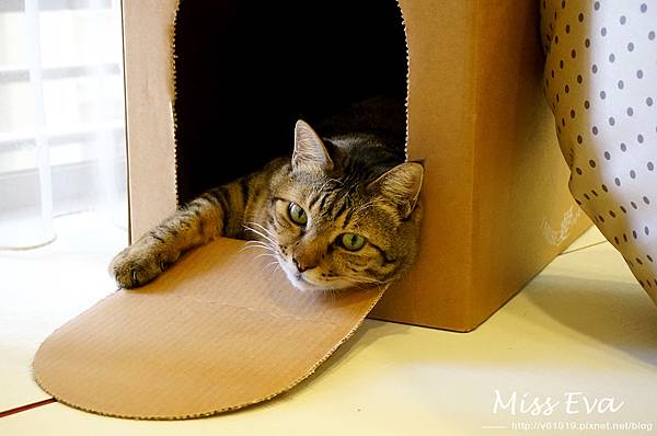 DSC09498.jpg DSC09498.jpg