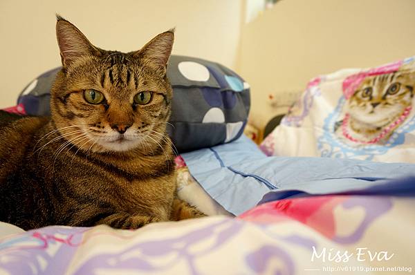 DSC09516.jpg DSC09516.jpg