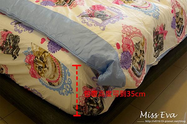 DSC09565.jpg DSC09565.jpg