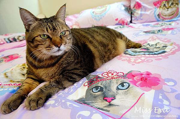 DSC09670.jpg DSC09670.jpg