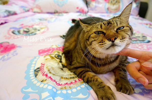 DSC09669-1.jpg DSC09669-1.jpg