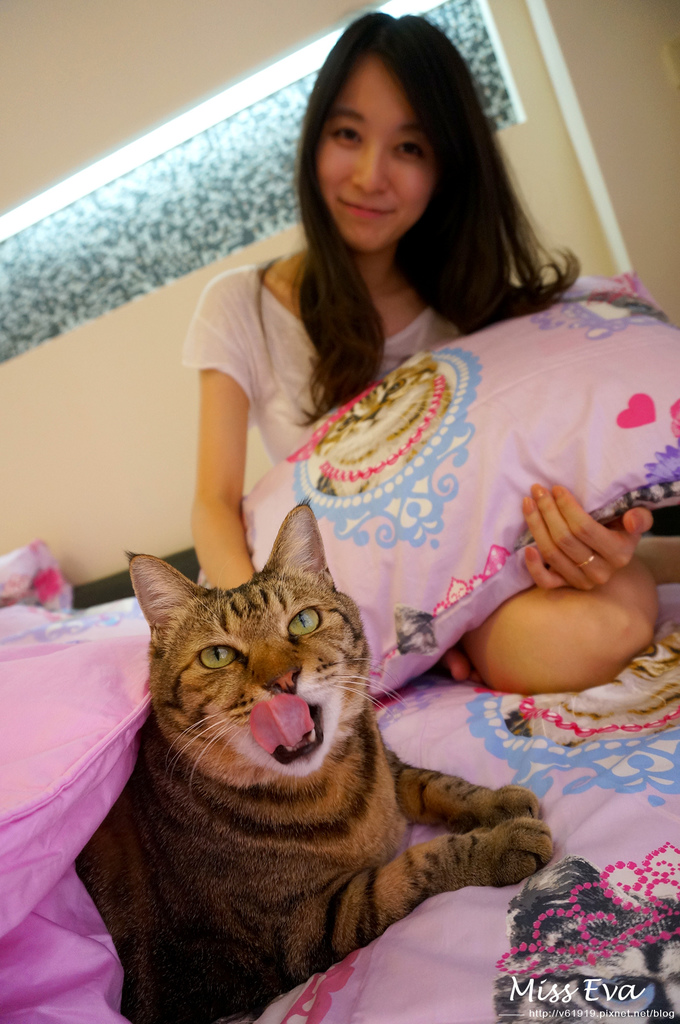 DSC09652-1.jpg DSC09652-1.jpg