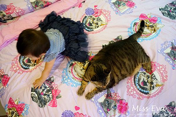 DSC09679.jpg DSC09679.jpg