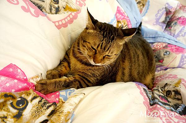 DSC09543.jpg DSC09543.jpg