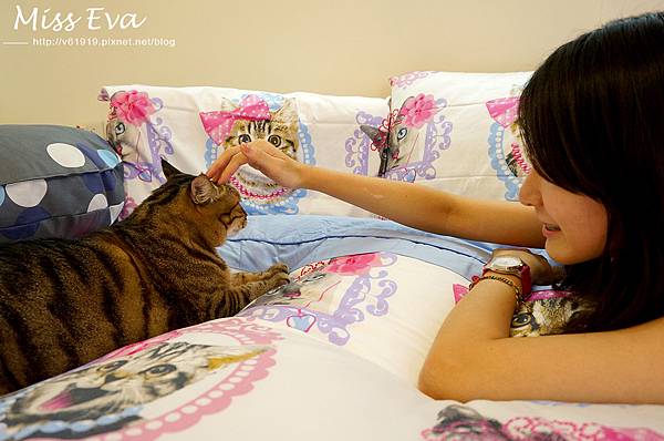 DSC09527.jpg DSC09527.jpg