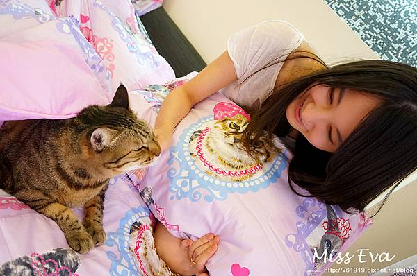 DSC09655.jpg DSC09655.jpg